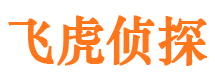 红河婚外情调查取证